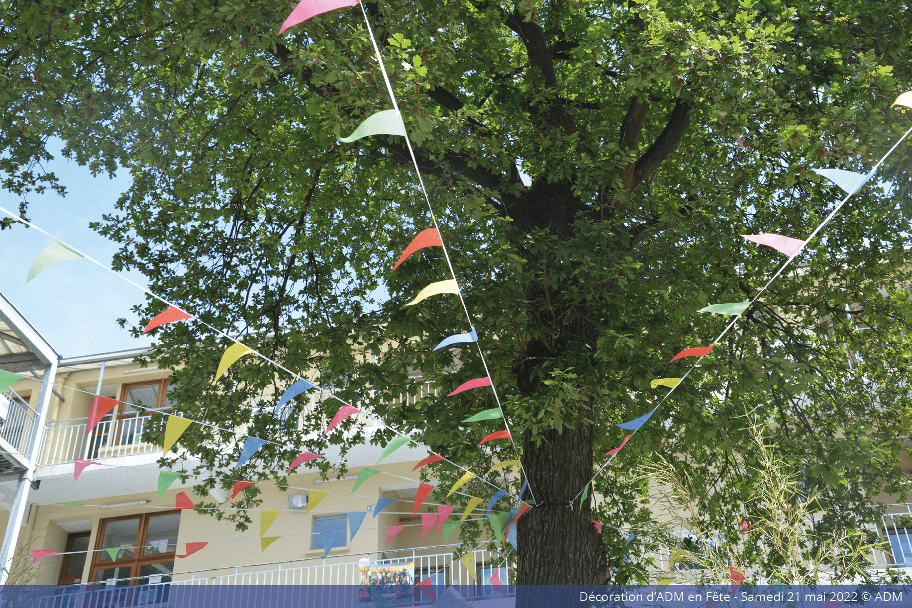 ADM en Fête