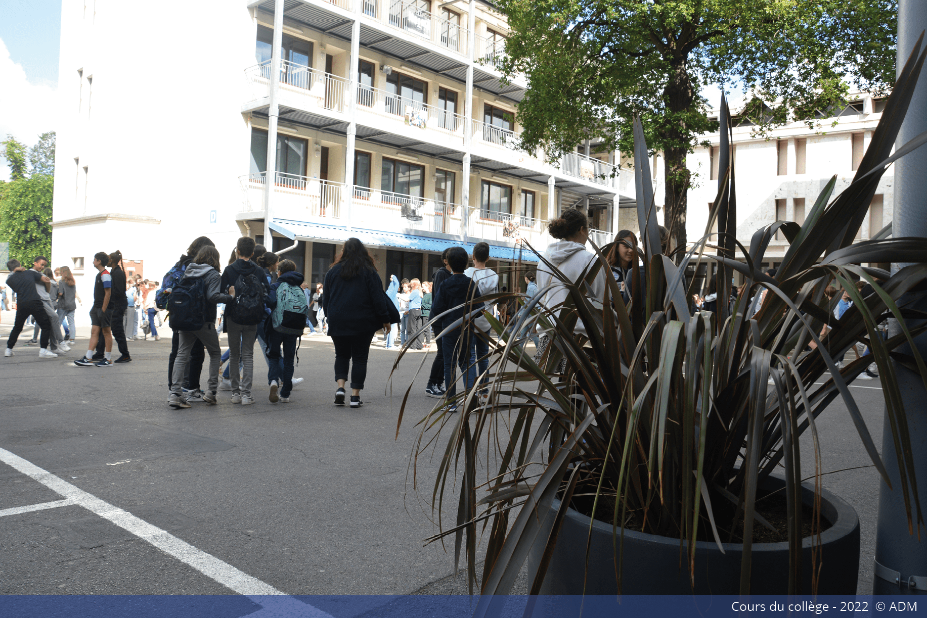 Cours du collège